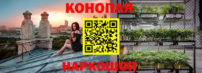 СК Новокубанск